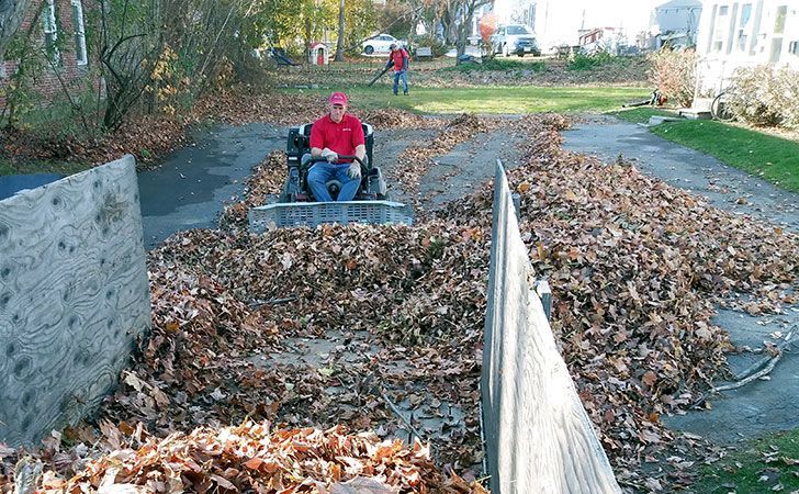 fall & spring yard care and yard clean up